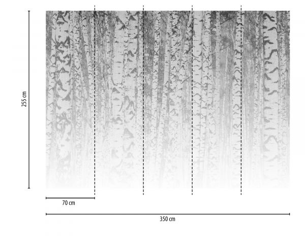 Vlies Fototapete Digitaldruck Birch Forest grau 350 x 255 cm DD123526