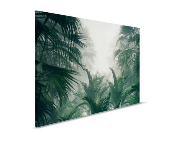 Leinwandbild Palm Forest 90x60cm DD123837