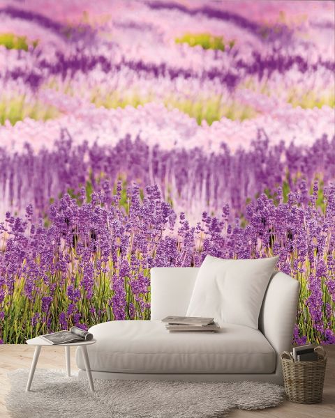 Vlies Fototapete Lavendel Blumen Wiese Digital Druck 1,59mx2,80m