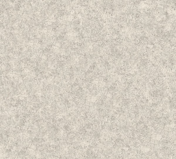 Vliestapete A.S Création Neue Bude 2.0 Putzstruktur Optik taupe grau 36207-5