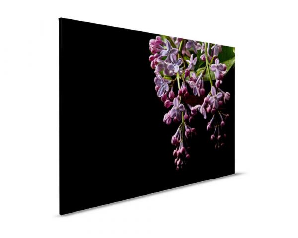 Leinwandbild dark flowers 1 90x60cm DD123826