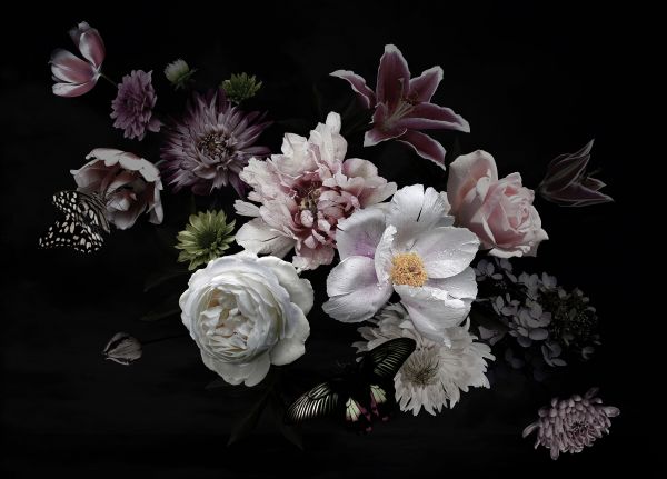 Vlies Fototapete Digitaldruck Flower Bouquet 350 x 255 cm DD123458