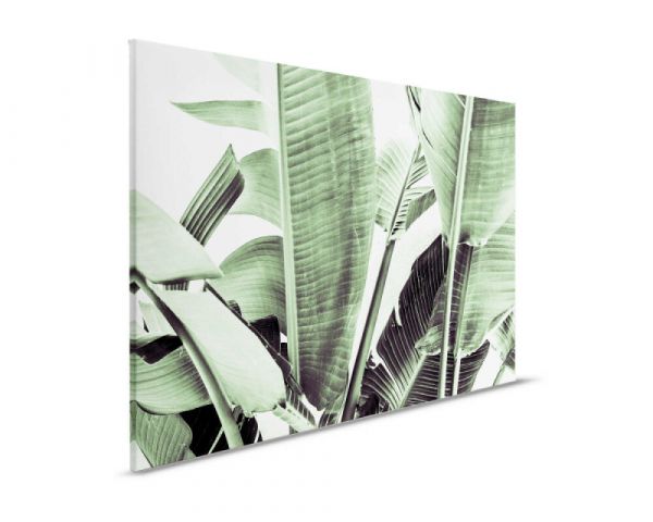 Leinwandbild palm fronds 2 90x60cm DD123832